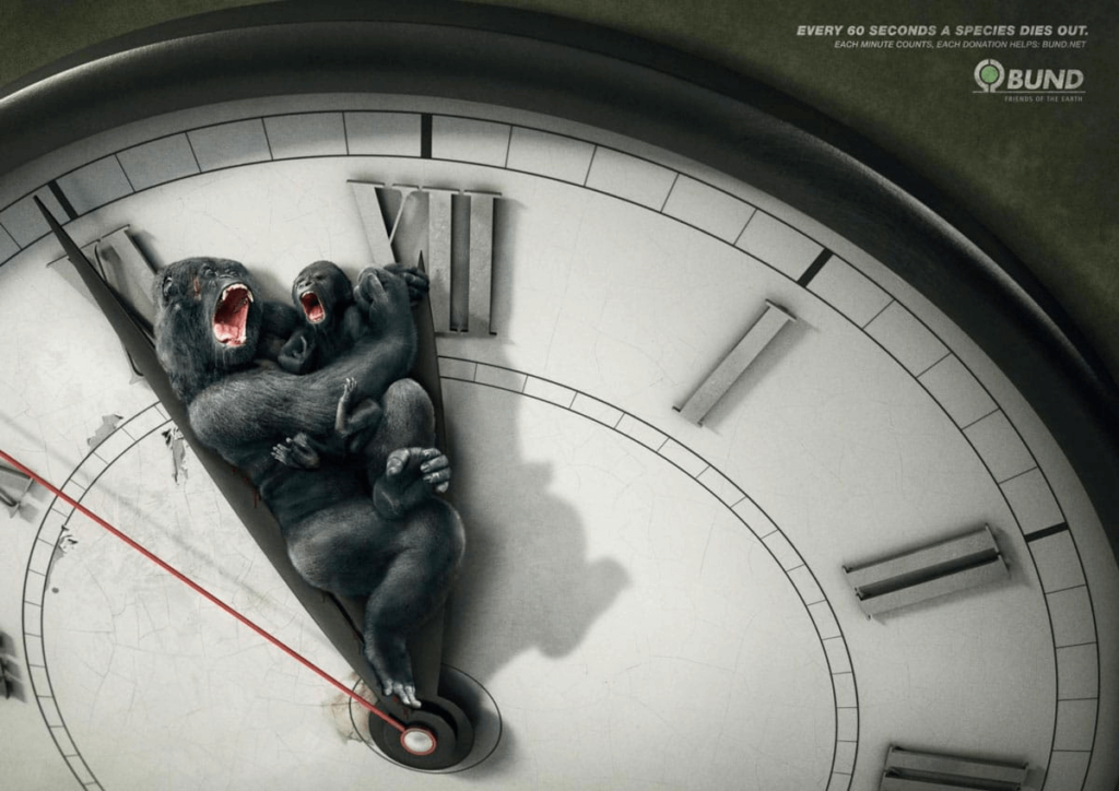 Image marketing des grandes causes